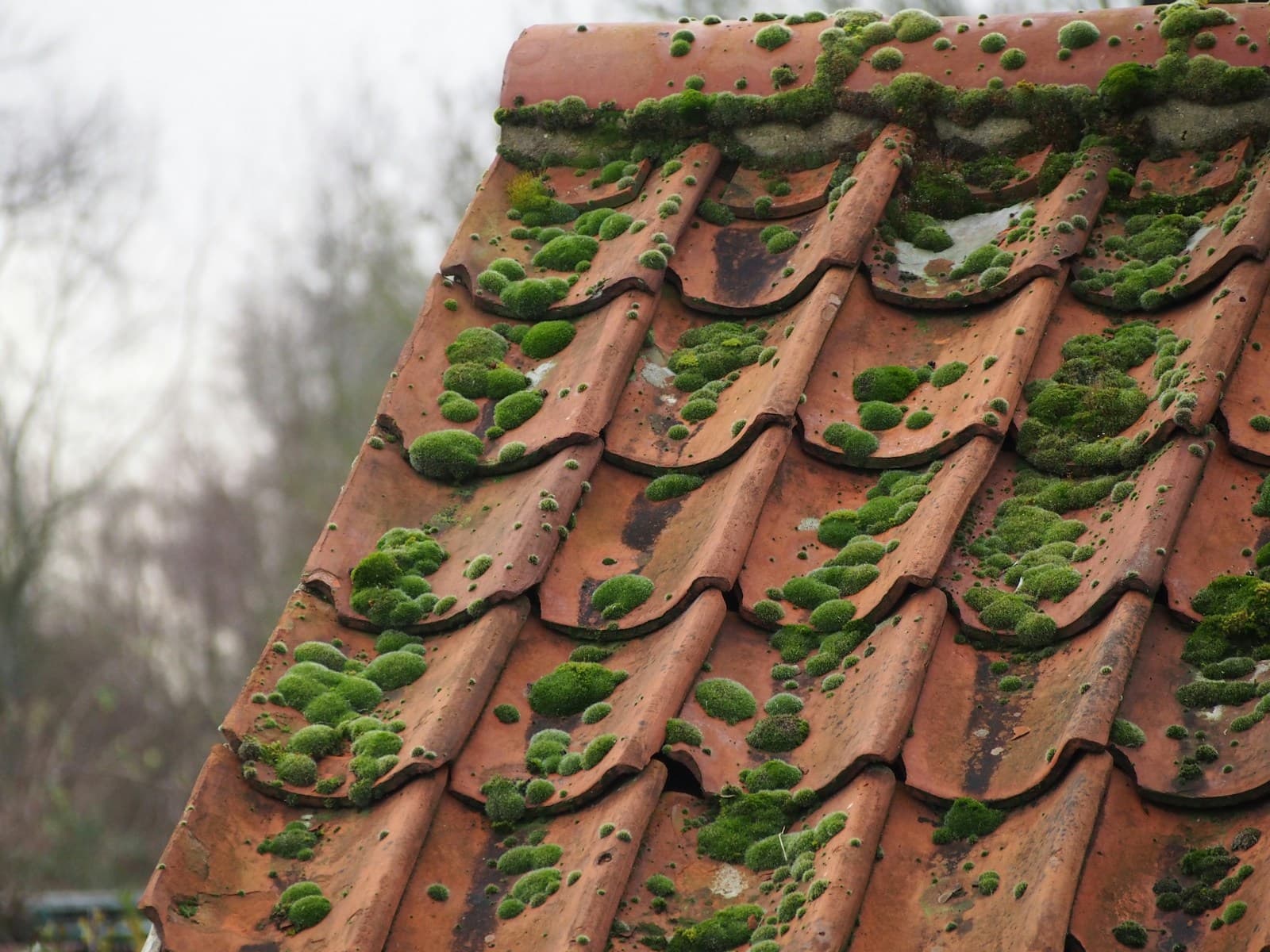 Pressure washing a roof to remove moss and algae